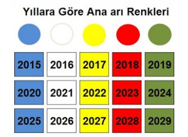 Ana Arı Boyası