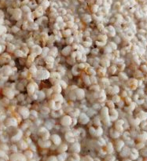 APİLARNİL (ERKEK ARI LARVASI) 100GR