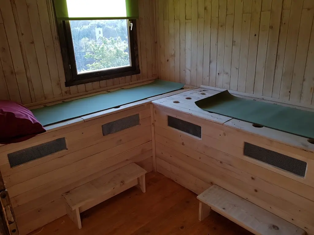 Arı Sesi- Arı Frekansı