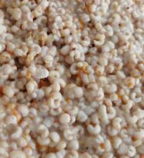 ANA ARI LARVASI 10 GR