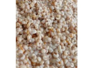 APİLARNİL (ERKEK ARI LARVASI) 100GR
