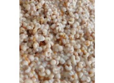 ANA ARI LARVASI 10 GR